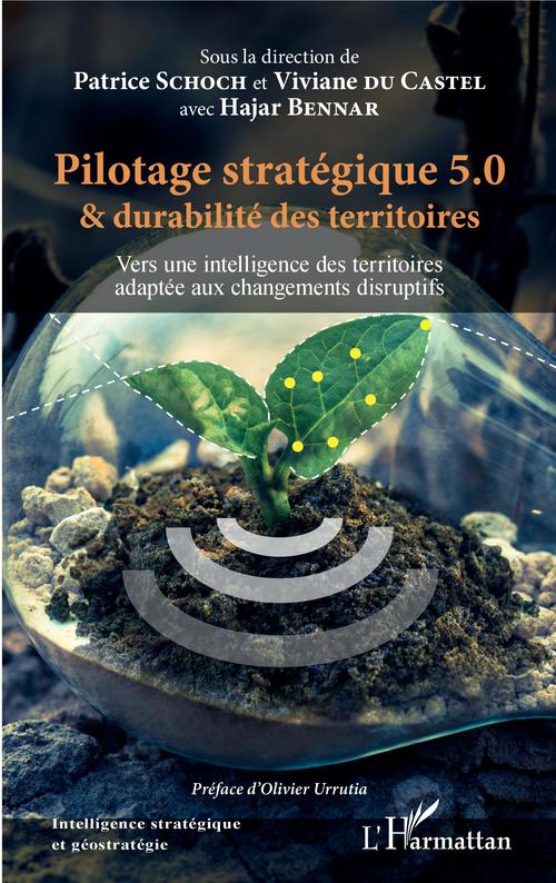 Couverture ebook de Pilotage stratégique 5.0 et durabilité des territoires, de Hajar Bennar, Viviane Du castel, Patrice Schoch