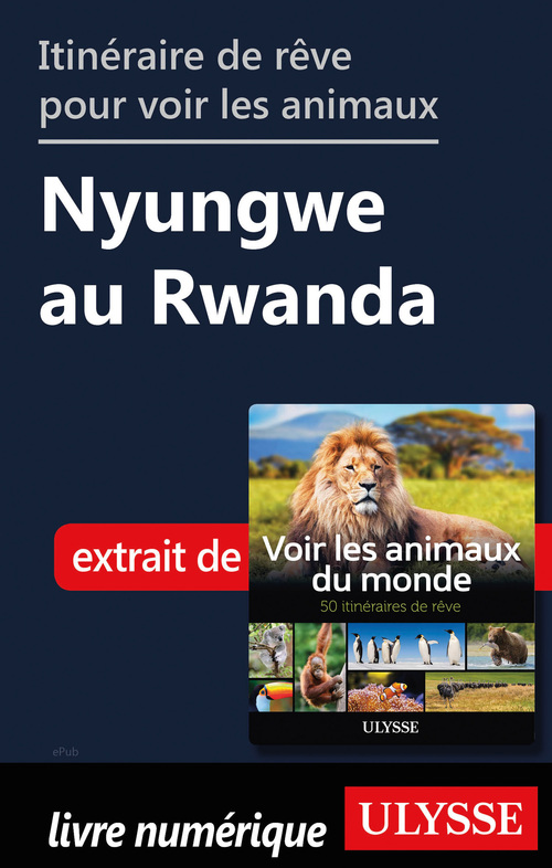 Couverture ebook de Itinéraire de rêve pour voir les animaux - Nyungwe au Rwanda, de Ariane Arpin-Delorme