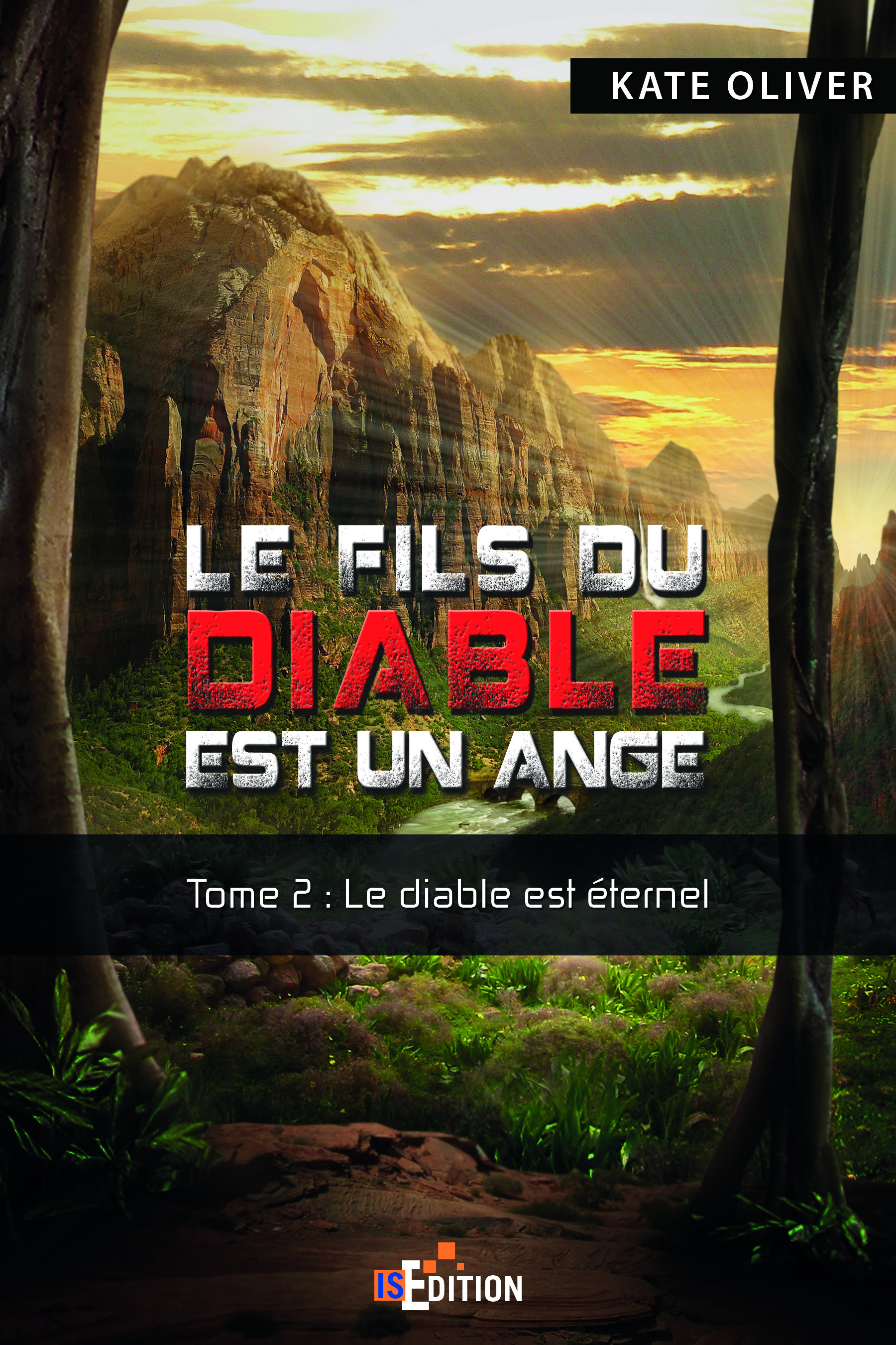 Couverture ebook de Le fils du Diable est un Ange, de Kate Oliver