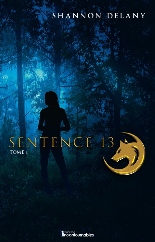 ebook cover of Sentence 13, by Shannon Delany