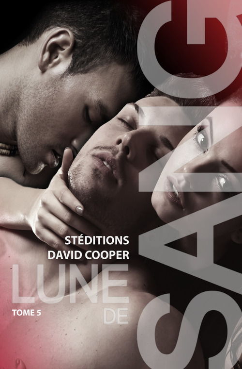 ebook cover of Lune de sang - Tome 5 [Livre gay, roman gay] bit-lit MxM, by David Cooper