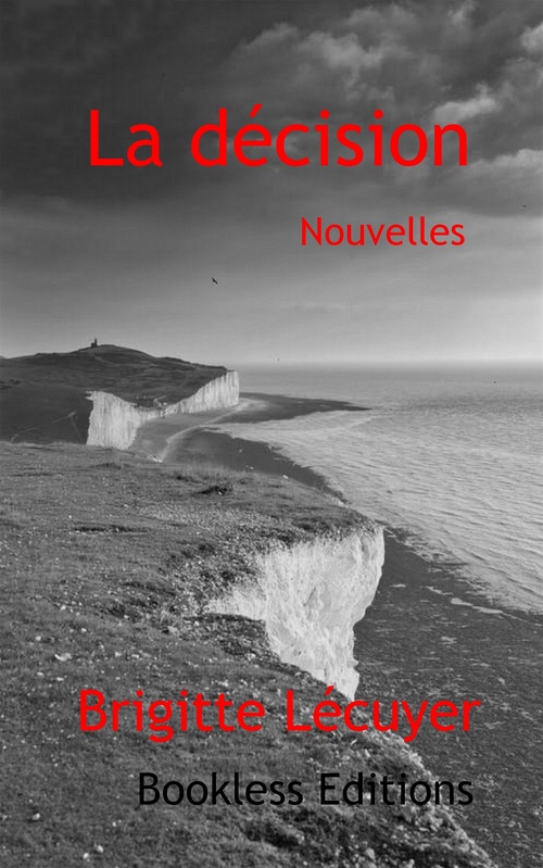 Couverture ebook de La décision, de Bookless-Editions Brigitte Lecuyer