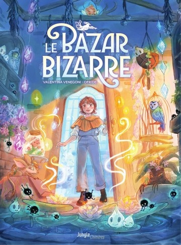 Couverture ebook de Le bazar bizarre, de Valentina Venegoni