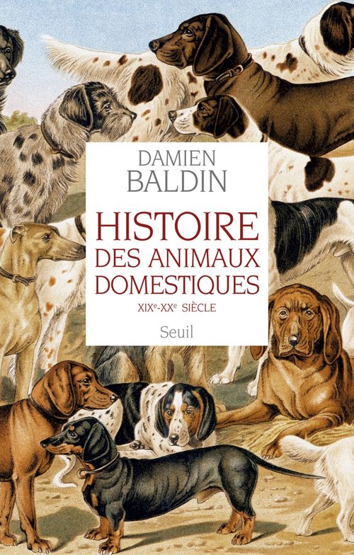 Couverture ebook de Histoire des animaux domestiques. (XIXe-XXe siècle), de Damien Baldin