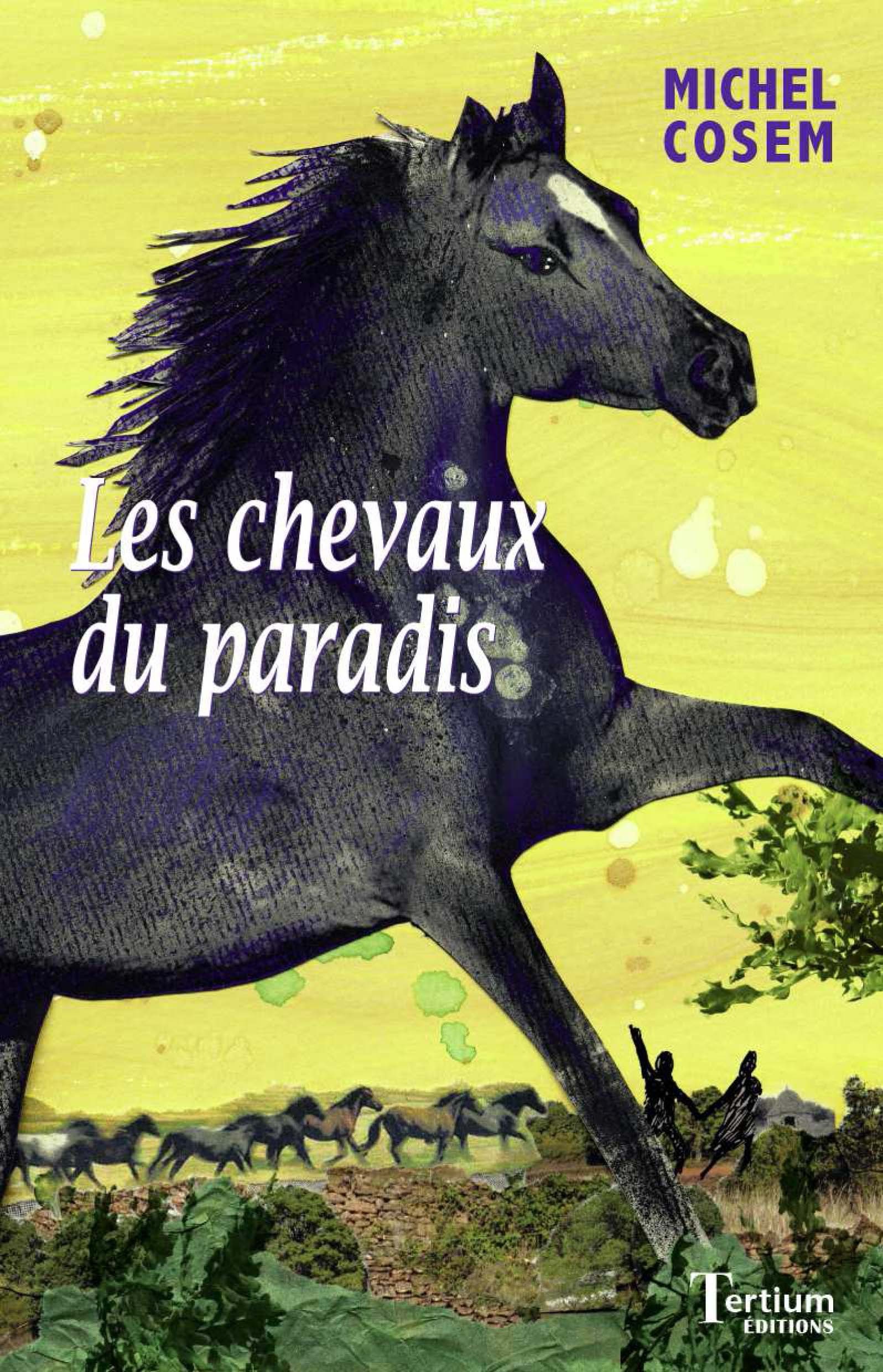 Couverture ebook de Les chevaux du paradis, de Michel Cosem