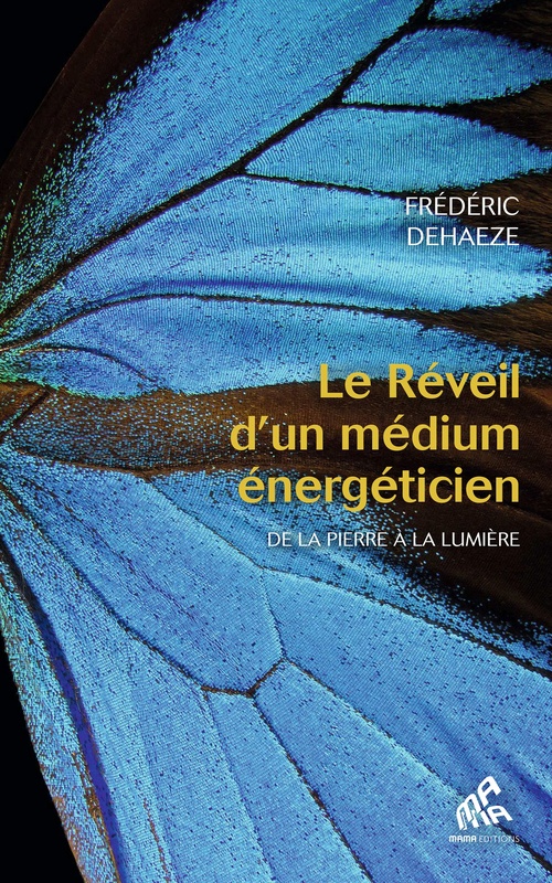 ebook cover of Le Réveil d'un médium énergéticien, by Frédéric Dehaeze