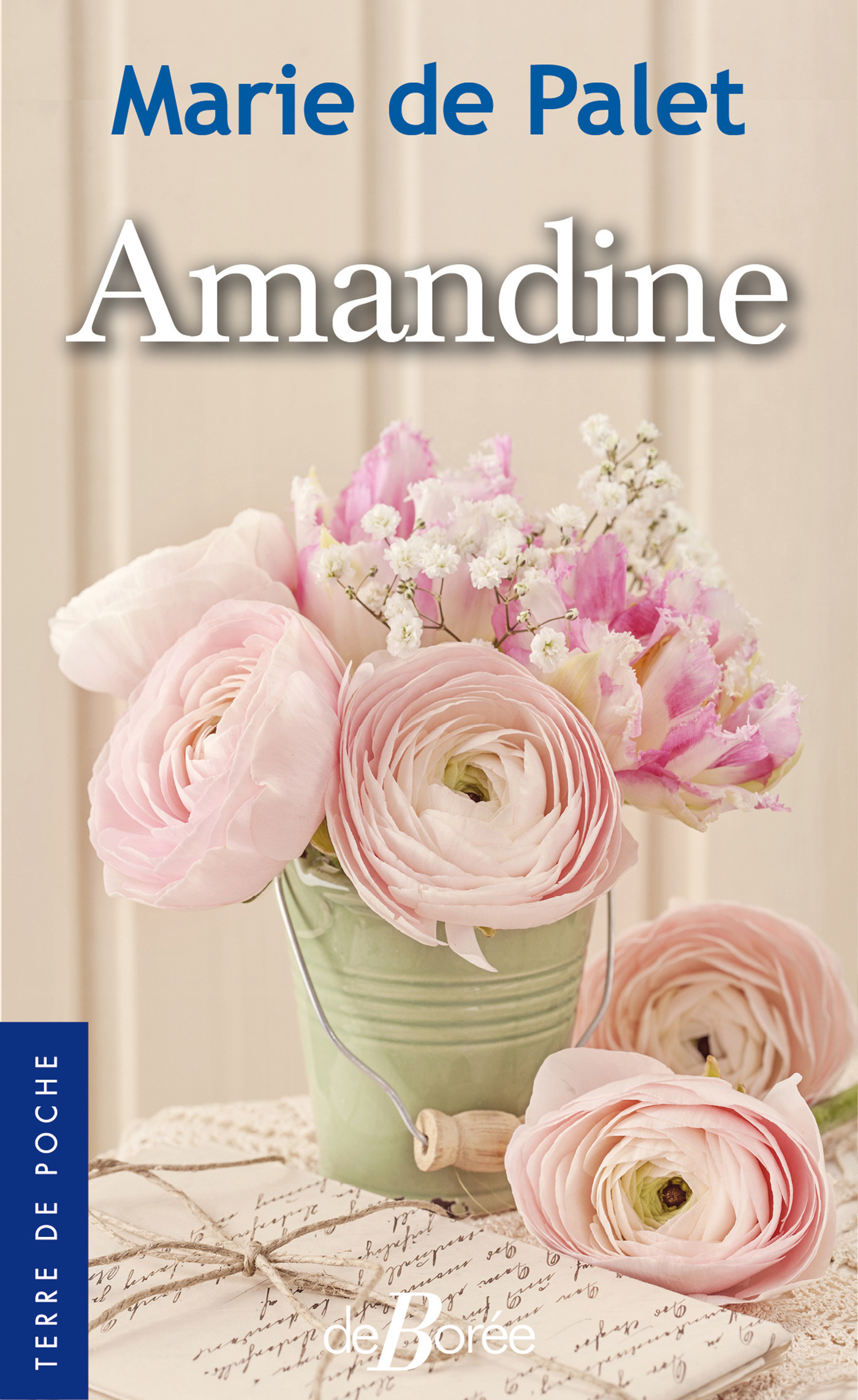 Couverture ebook de Amandine, de Marie de Palet