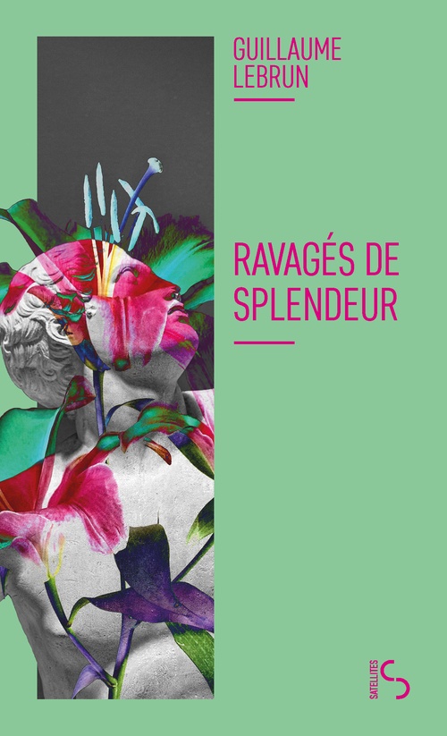 ebook cover of Ravagés de splendeur, by Guillaume Lebrun