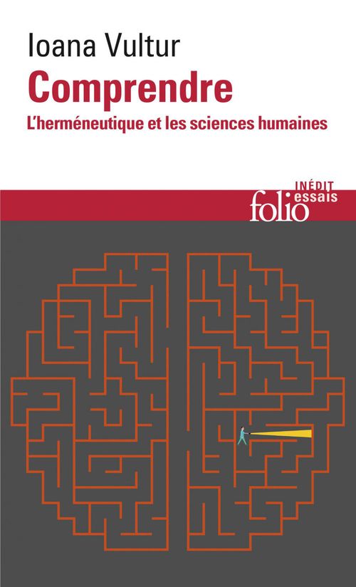 ebook cover of Comprendre. L'herméneutique et les sciences humaines, by Ioana Vultur