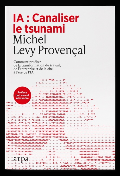 ebook cover of IA : canaliser le tsunami - Comment profiter de la transformation du travail, de l'entreprise et de la cité à l'ère de l'IA, by Michel Lévy-provençal