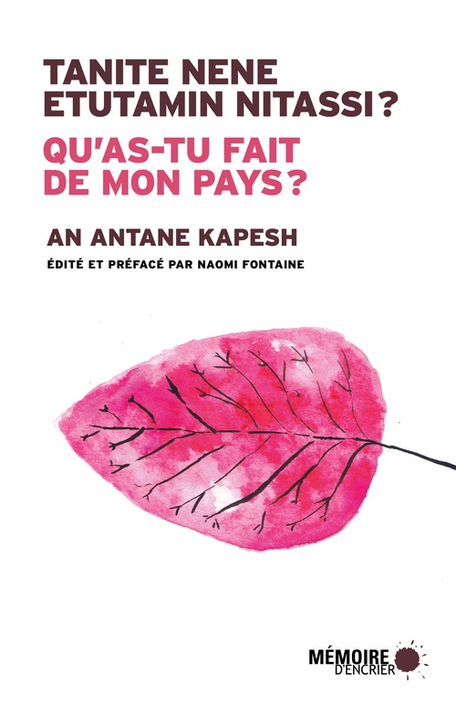 ebook cover of Qu'as-tu fait de mon pays? Tanite nene etutamin nitassi?, by An Antane kapesh