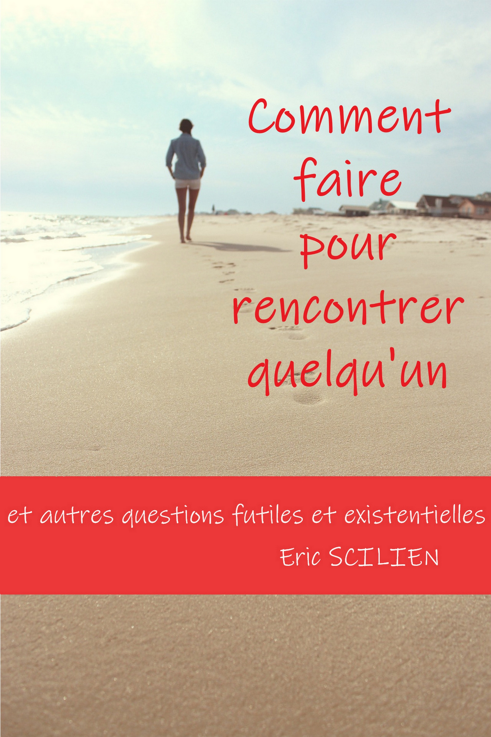 ebook cover of Comment faire pour rencontrer quelqu'un ?, by Bookless-Editions Eric Scilien