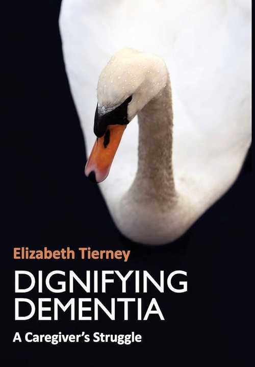 ebook cover of Dignifying Dementia, by Elizabeth Tierney
