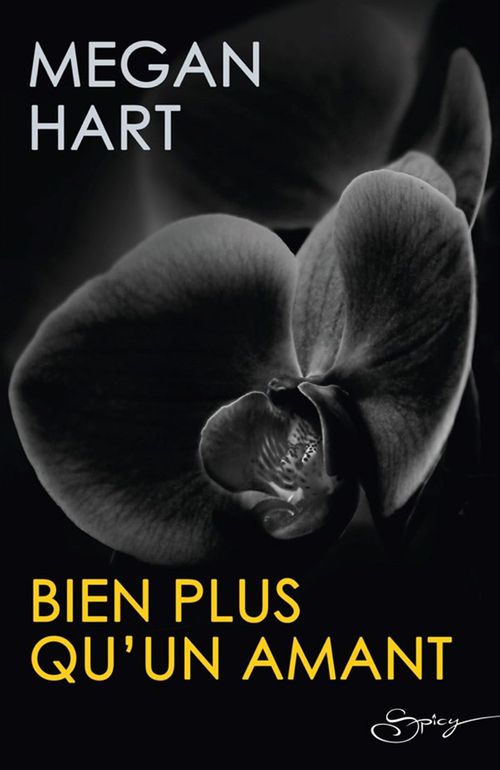 ebook cover of Bien plus qu'un amant, by Megan Hart