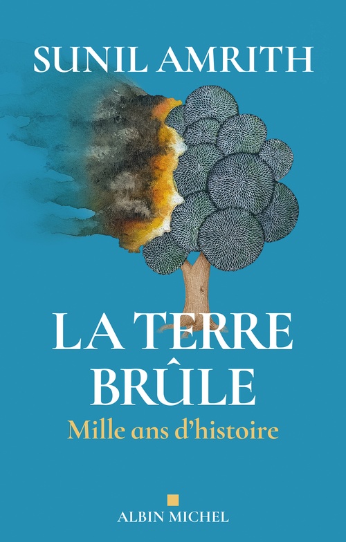 ebook cover of La Terre brûle, by Sunil Amrith