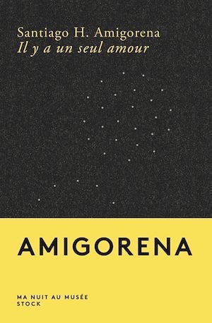 Couverture ebook de Il y a un seul amour, de Santiago H. Amigorena