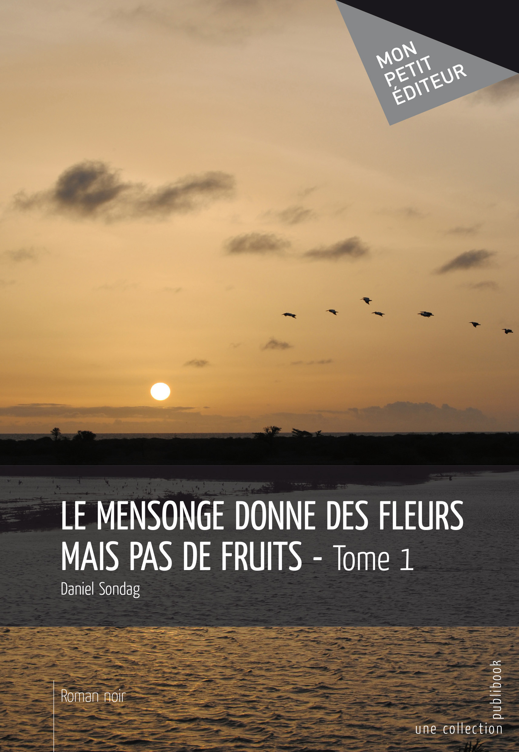 ebook cover of Le Mensonge donne des fleurs mais pas de fruits, by Daniel Sondag