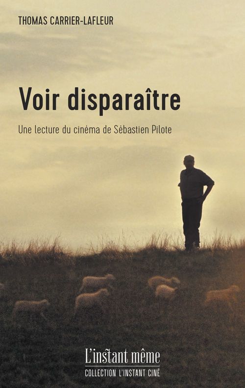 Couverture ebook de Voir disparaitre, de Thomas Carrier-lafleur