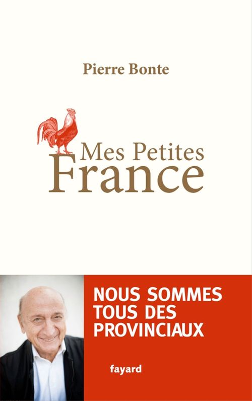 Couverture ebook de Mes petites France, de Pierre Bonte