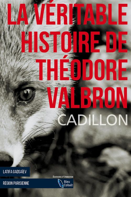Couverture ebook de La Véritable Histoire de Théodore Valbron, de Bruno Cadillon