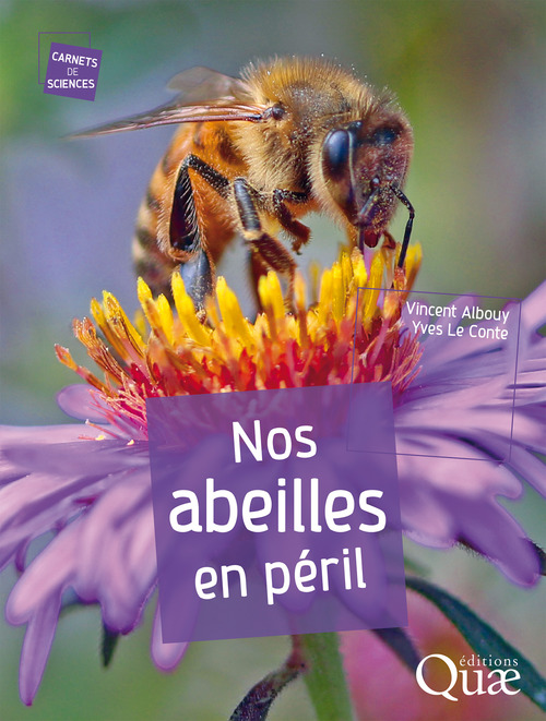 ebook cover of Nos abeilles en péril, by Vincent Albouy, Yves Le conte
