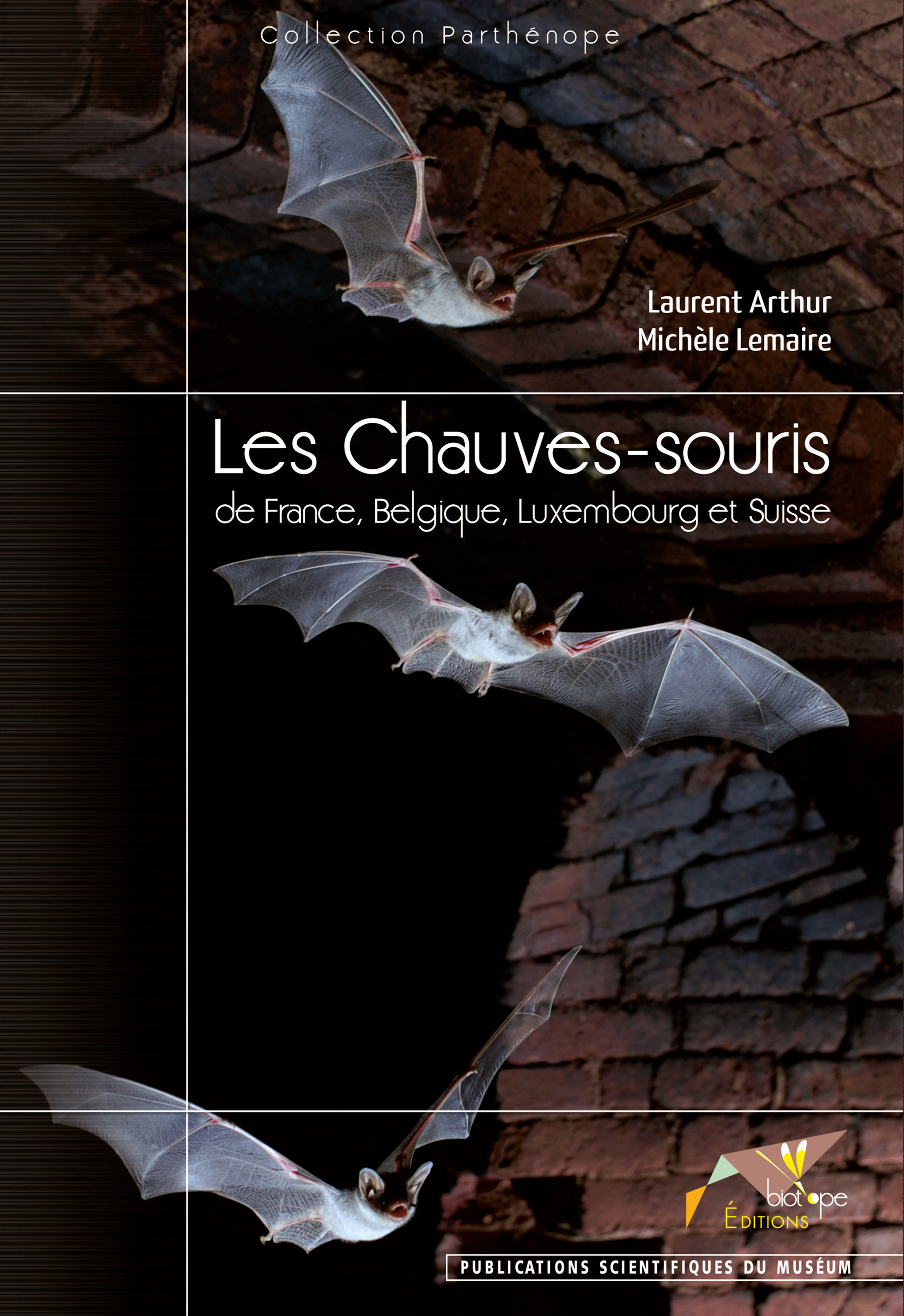 Couverture ebook de Les Chauves-souris de France Belgique Luxembourg et Suisse, de Arthur/Lemaire