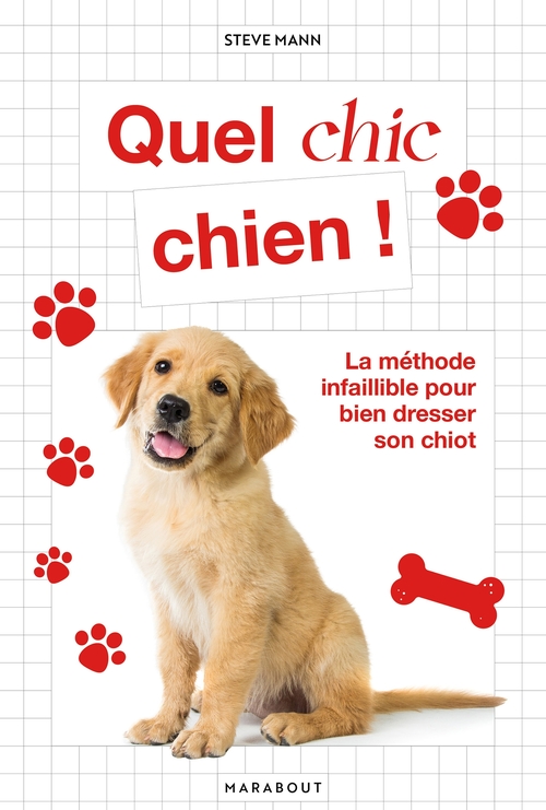 Couverture ebook de Quel chic chien, de Steve Mann