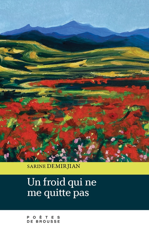 ebook cover of Un froid qui ne me quitte pas, by Sarine Demirjian