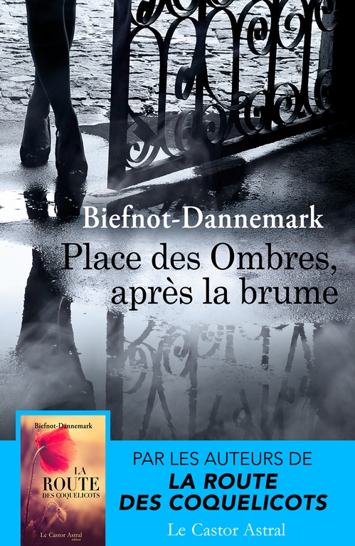ebook cover of Place des ombres, après la brume, by Véronique Biefnot, Francis Dannemark