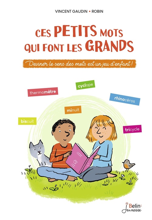 ebook cover of Ces petits mots qui font les grands, by Vincent Gaudin, Robin