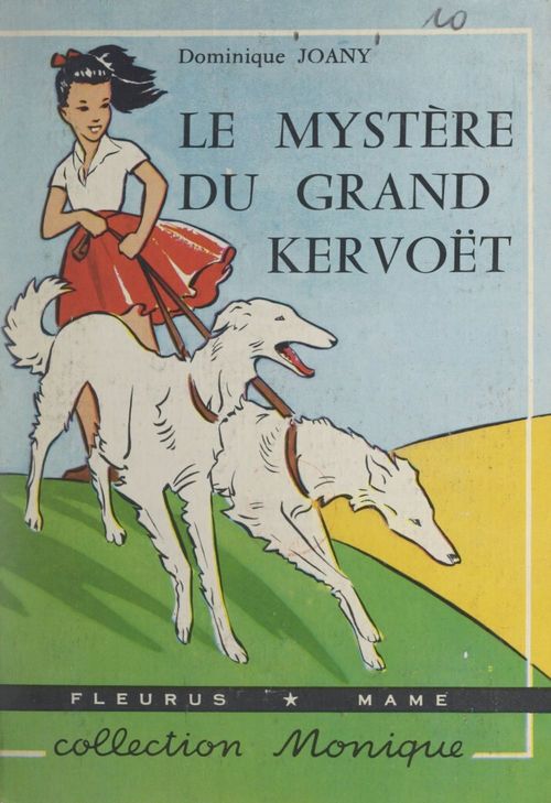 Couverture ebook de Le mystère du grand Kervoët, de Dominique Joany