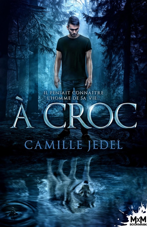ebook cover of À croc, by Camille Jedel