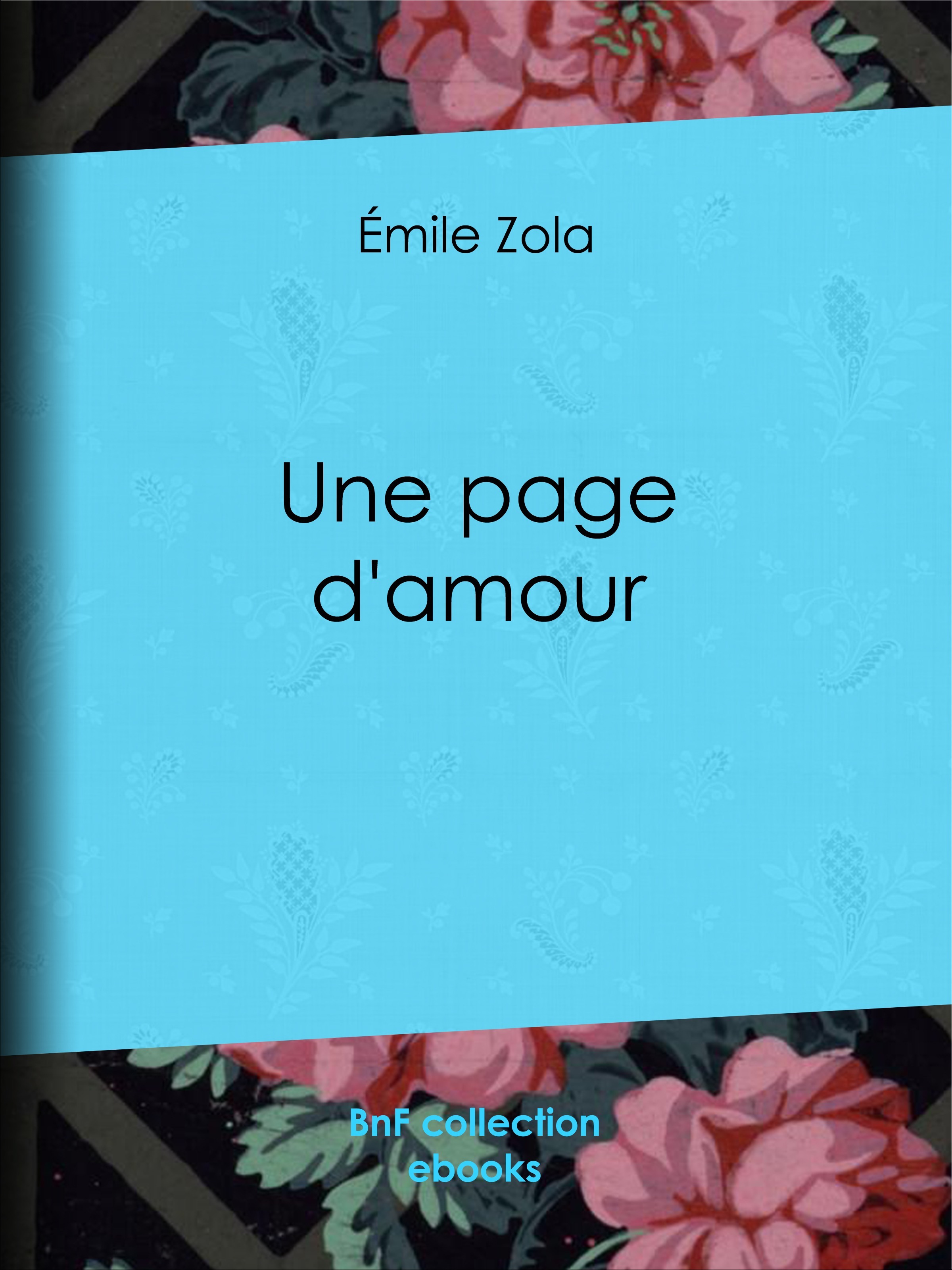 ebook cover of Une page d'amour, by Emile Zola