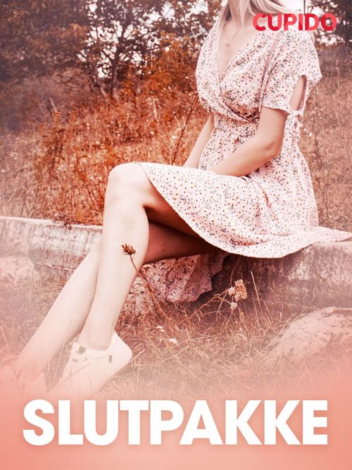 Couverture ebook de Slutpakke - erotisk novelle, de Cupido