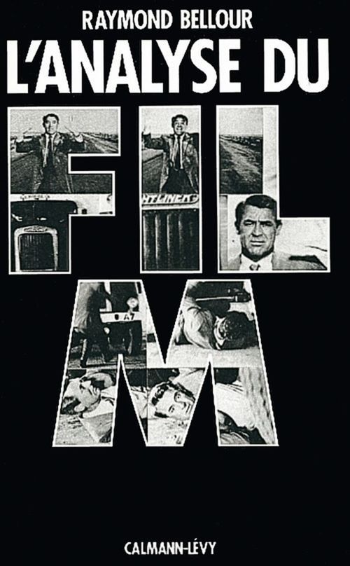 ebook cover of L'Analyse du film, by Raymond Bellour