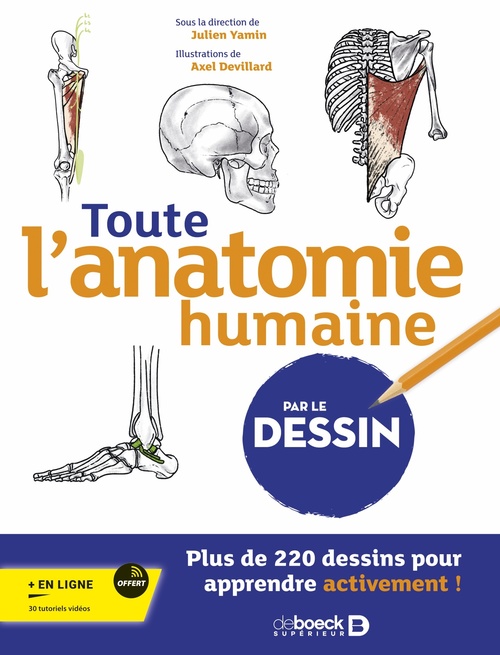 Couverture ebook de Toute l´anatomie humaine par le dessin, de Julien Yamin