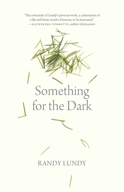 ebook cover of Something for the Dark, by Randy Lundy