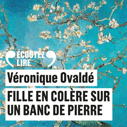 audiobook cover of Fille en colère sur un banc de pierre, by Véronique Ovaldé