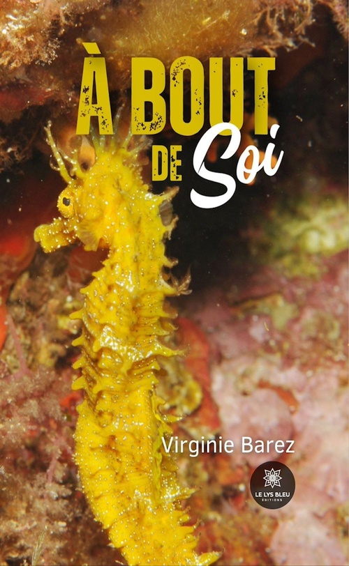 Couverture ebook de À bout de soi, de Virginie Barez