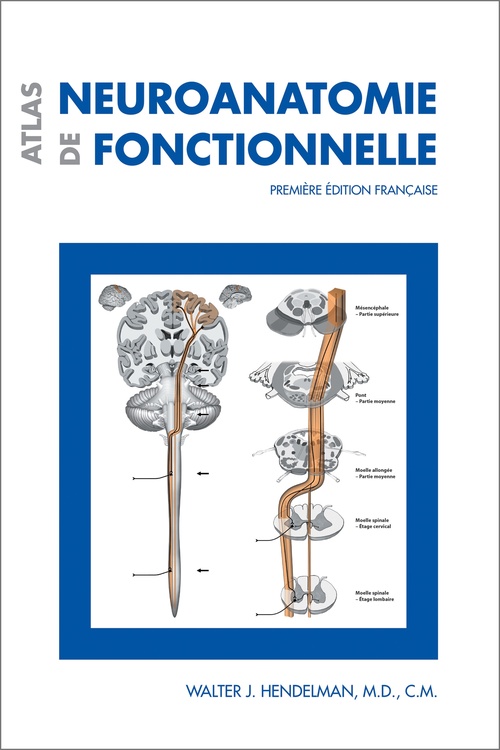 ebook cover of Atlas de neuroanatomie fonctionnelle, by Hendelman Walter-J.