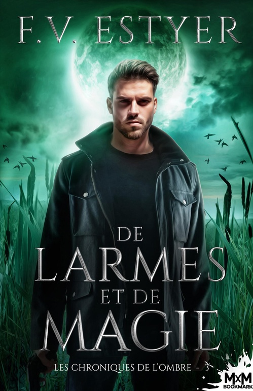 Couverture ebook de De larmes et de magie, de F. V. Estyer