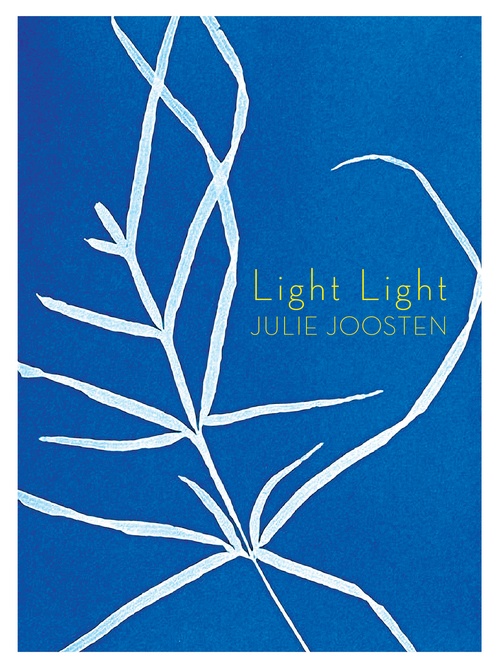 Couverture ebook de Light Light, de Julie Joosten