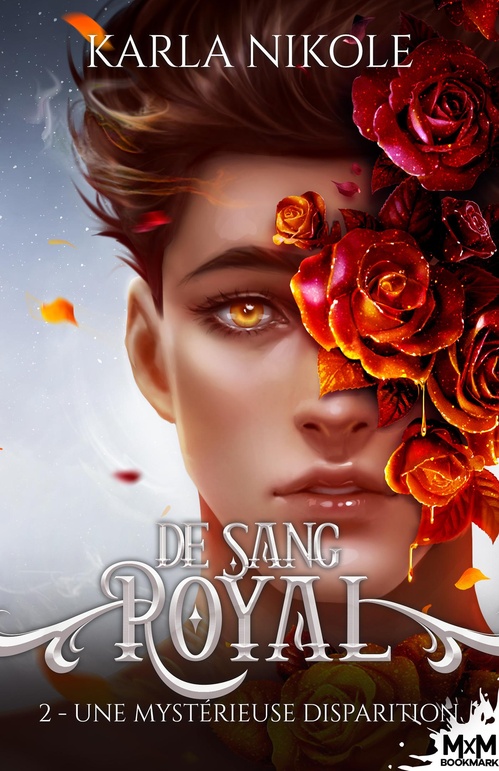ebook cover of Une mystérieuse disparition, by Karla Nikole