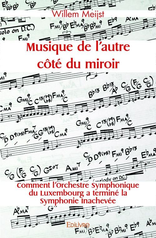 Couverture ebook de Musique de l'autre côté du miroir, de Willem Meijst