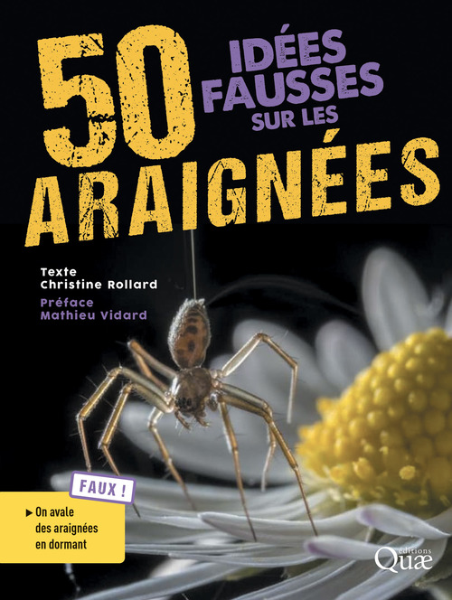 Couverture ebook de 50 idées fausses sur les araignées, de Christine Rollard