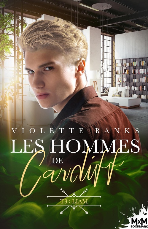 ebook cover of Liam, by Violette Banks
