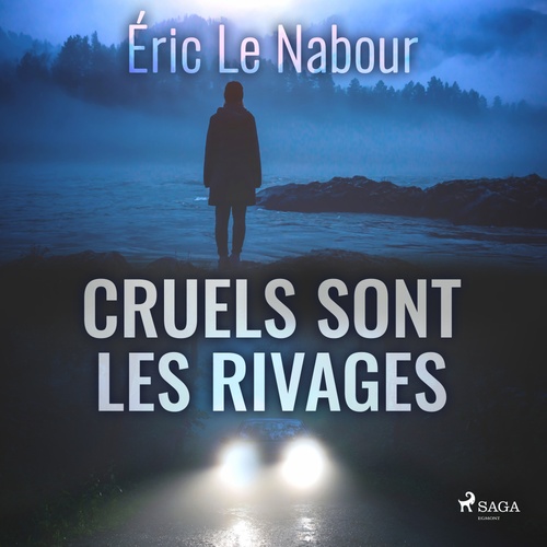 audiobook cover of Cruels sont les rivages, by Éric Le Nabour