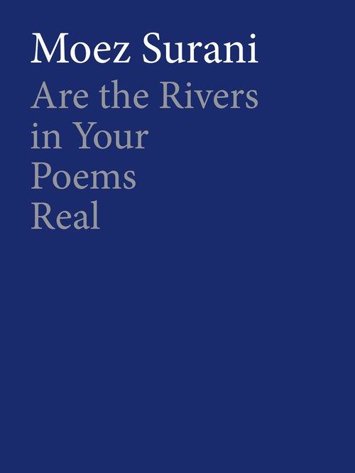 ebook cover of Are the Rivers in Your Poems Real, by Moez Surani
