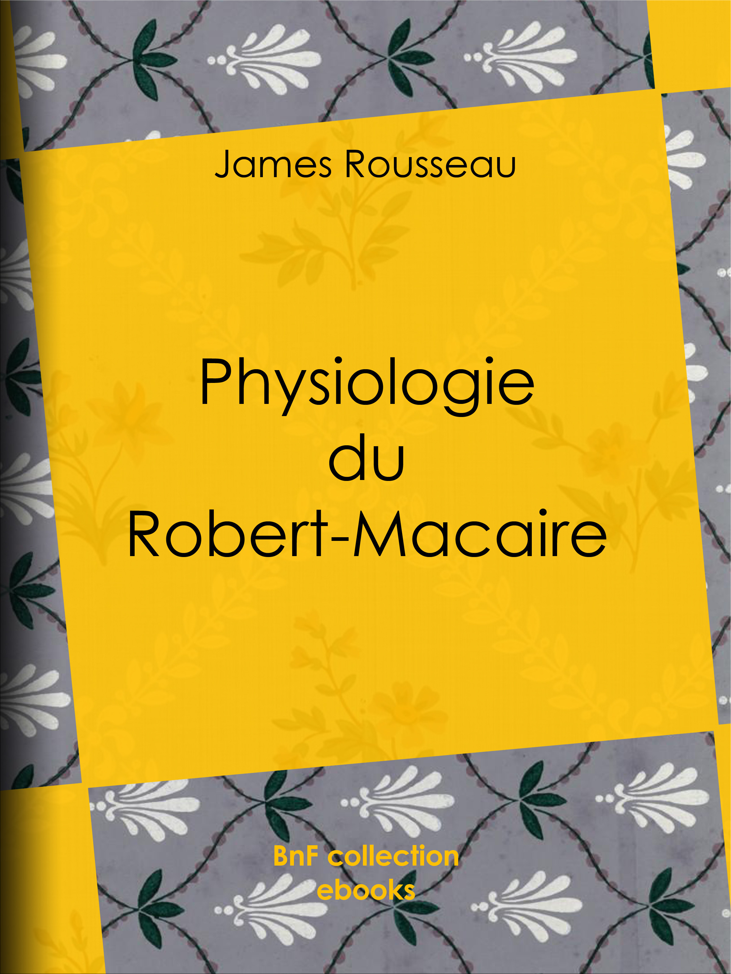 ebook cover of Physiologie du Robert-Macaire, by Honoré Daumier, James Rousseau