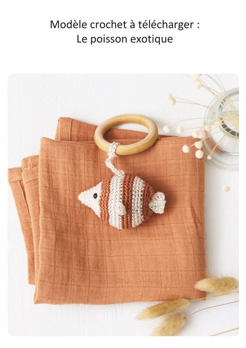 Couverture ebook de Modèle crochet à télécharger : Le poisson exotique, de @tisanecrochet